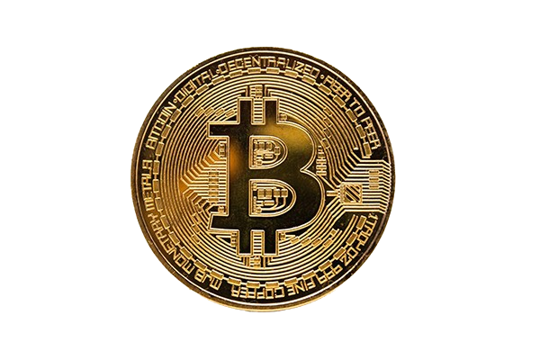 Bitcoin vs Gold: Bitcoiner, Gold Bug, or Still Deciding?